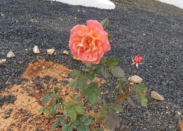 Casa Ana Perez אנטיגואה