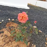Casa Ana Perez Antigua (Fuerteventura)