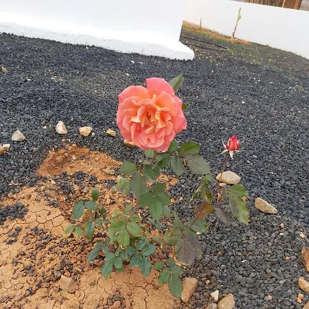 Casa Ana Perez Antigua (Fuerteventura)